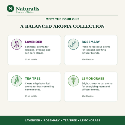 Naturalis 15GP19 essential oil infographic introducing Lavender, Rosemary, Tea Tree and Lemongrass oils