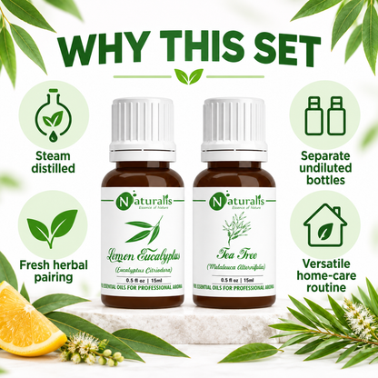 Lemon Eucalyptus and Tea Tree Essential Oil Set – why this set