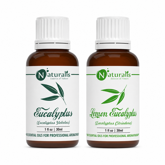 Eucalyptus & Lemon Eucalyptus essential oil set, 30 ml