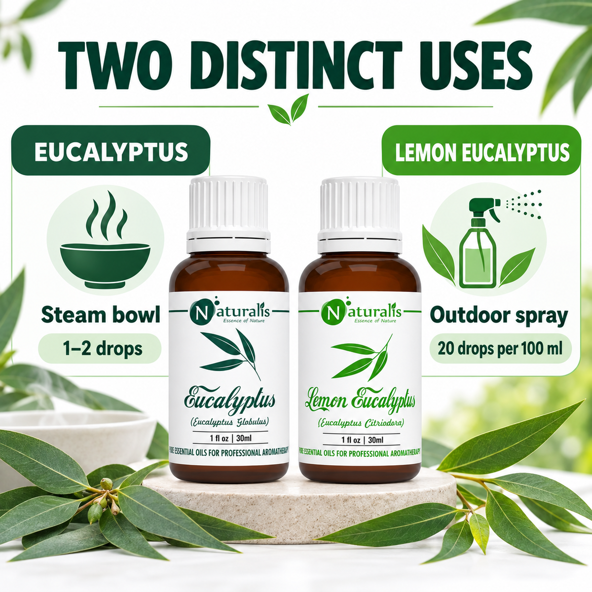 Eucalyptus and Lemon Eucalyptus Essential Oil Set – usage guide