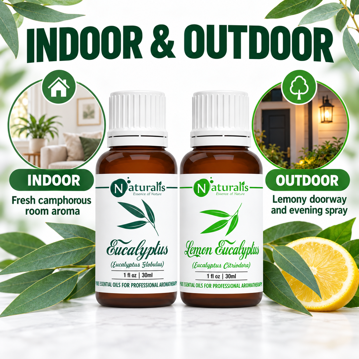 Eucalyptus and Lemon Eucalyptus Essential Oil Set – daily routine