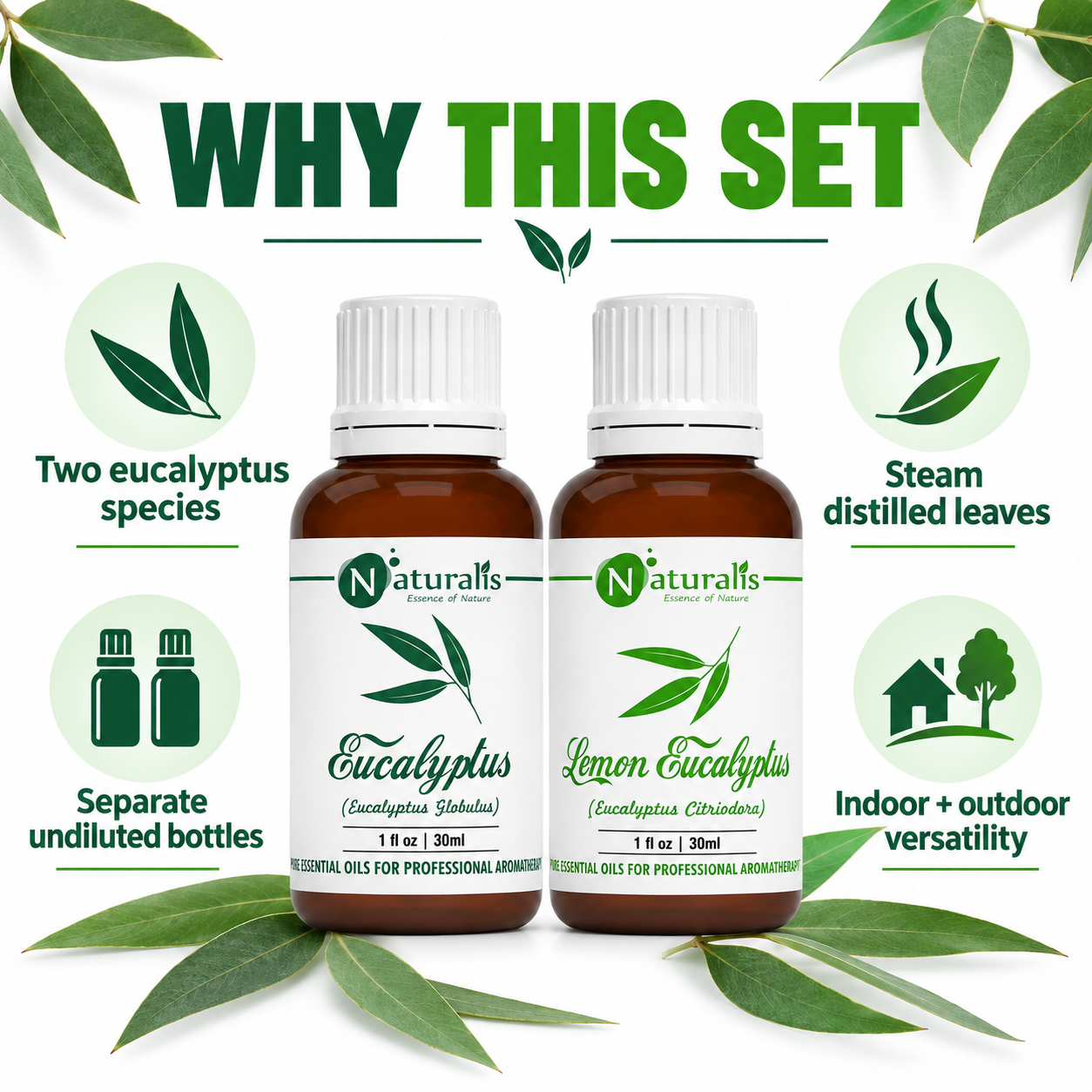 Eucalyptus and Lemon Eucalyptus Essential Oil Set – why this set