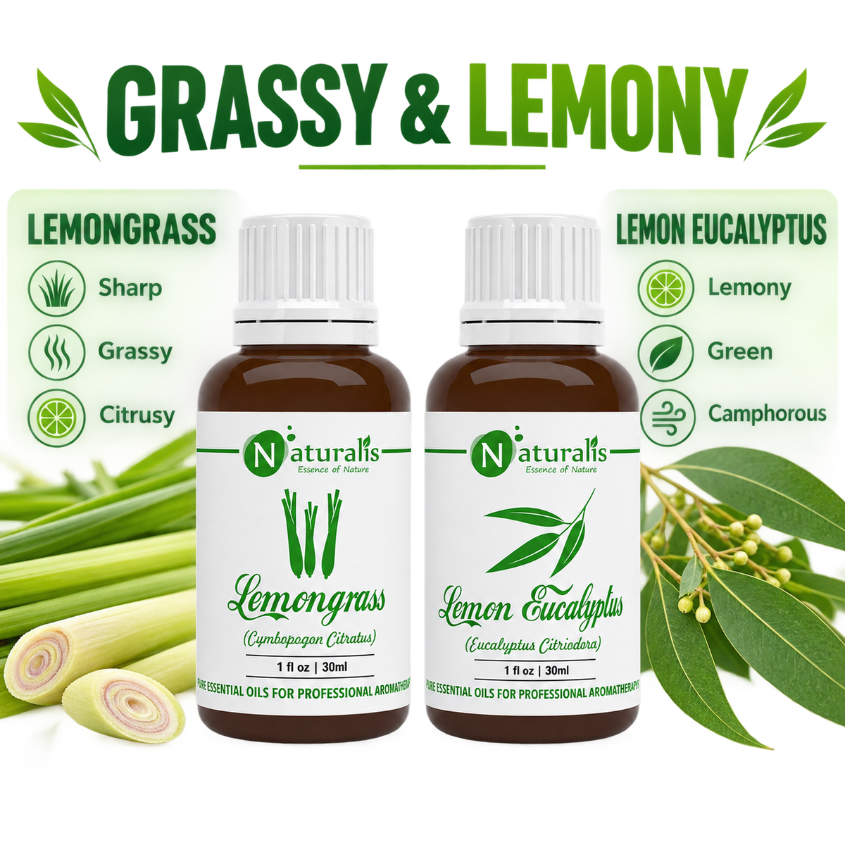 Lemongrass and Lemon Eucalyptus Essential Oil Set – aroma profile