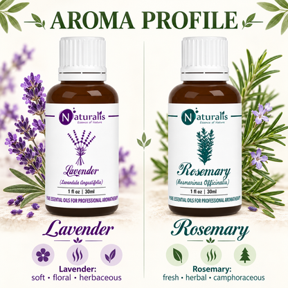 Lavender and Rosemary Essential Oil Set – aroma profile