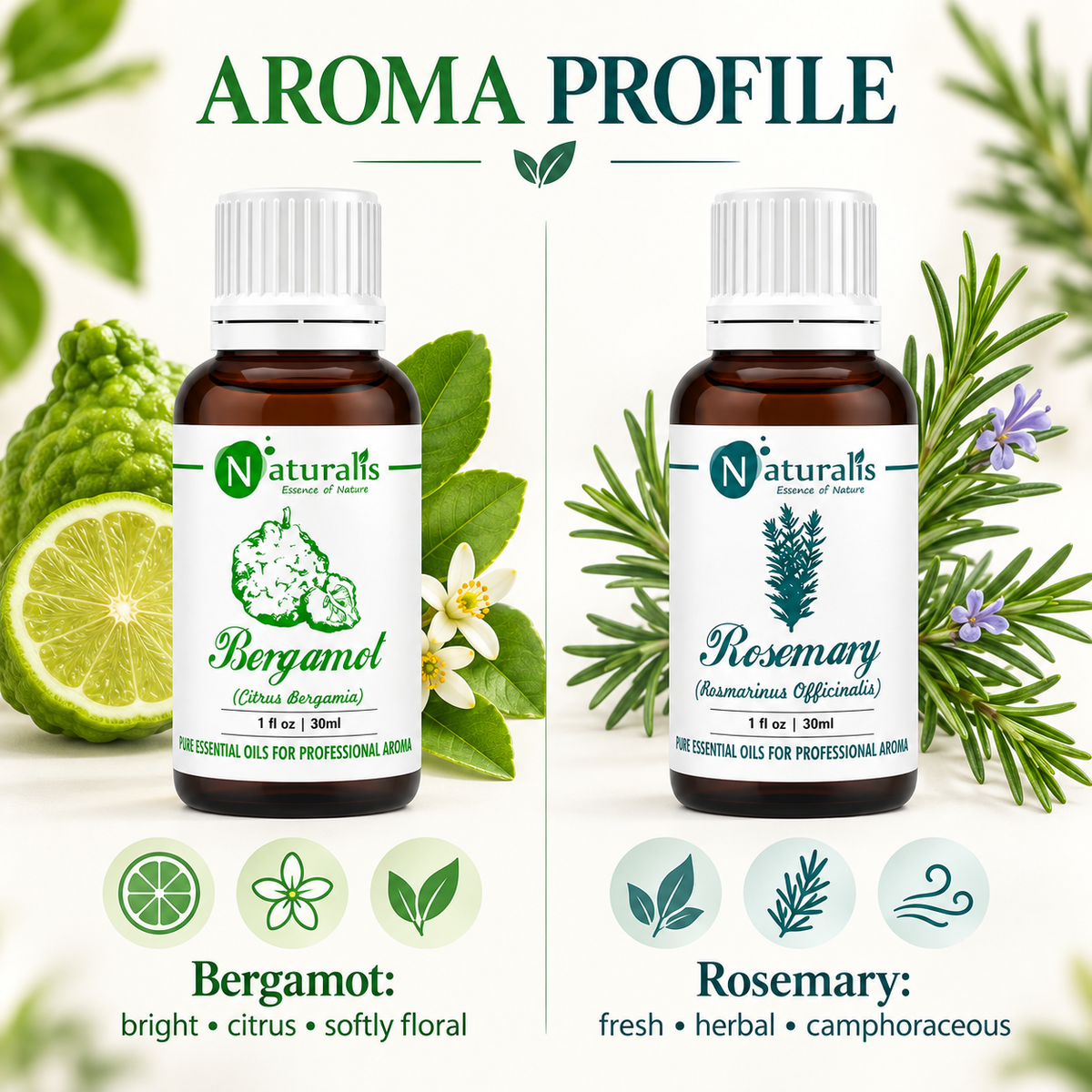 Rosemary and Bergamot Essential Oil Set – aroma profile