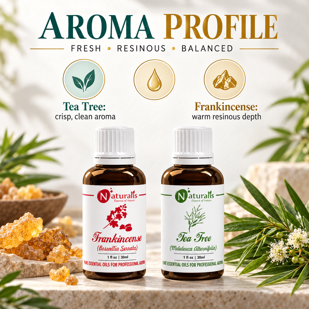 Naturalis 30GP6 essential oil set infographic 2
