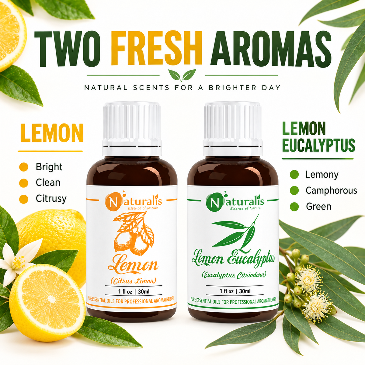 Lemon and Lemon Eucalyptus Essential Oil Set – aroma profile