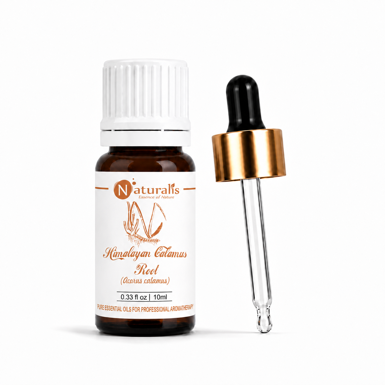 100% Pure Himalayan Calamus Essential Oil – Acorus Calamus, Therapeutic Grade