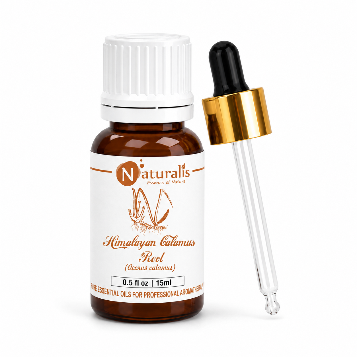 100% Pure Himalayan Calamus Essential Oil – Acorus Calamus, Therapeutic Grade