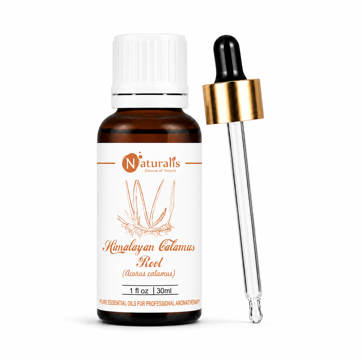 100% Pure Himalayan Calamus Essential Oil – Acorus Calamus, Therapeutic Grade