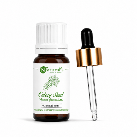 Naturalis 100% pure Celery Seed Essential Oil (Apium graveolens), therapeutic grade — alternate view