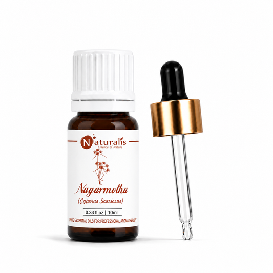 Naturalis 100% pure Nagarmotha Essential Oil (Cyperus scariosus), therapeutic grade — alternate view
