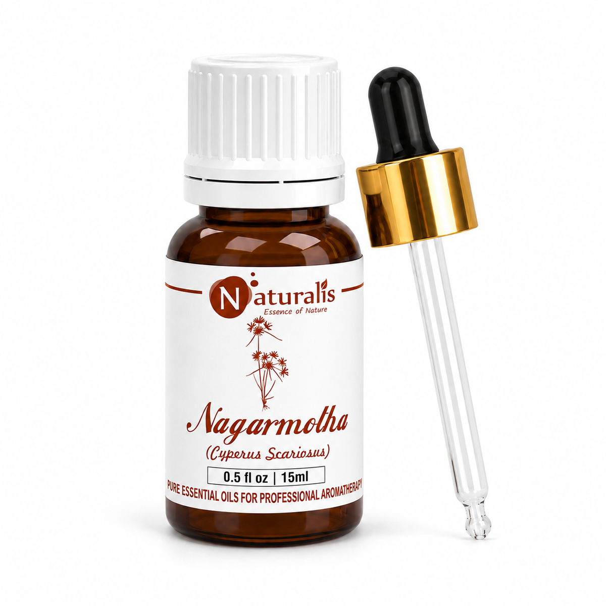 Nagarmotha essential oil by Naturalis, pure and natural — close-up