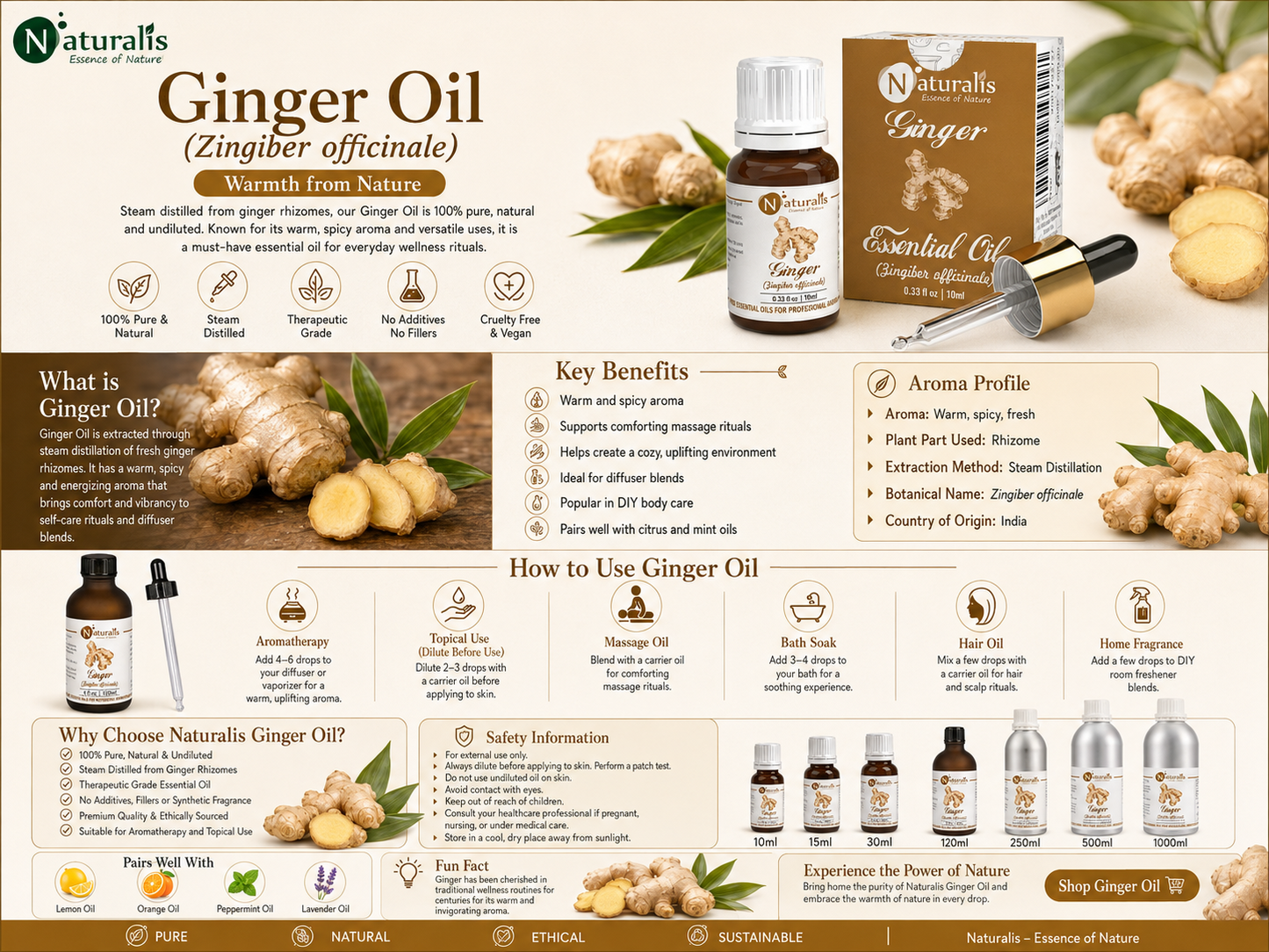 Naturalis Ginger Essential Oil infographic - Zingiber officinale uses, aroma, safety and sizes