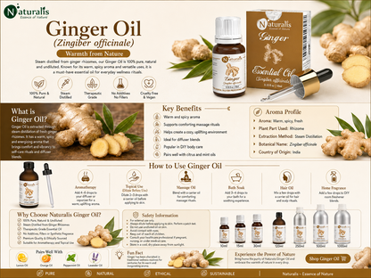 Naturalis Ginger Essential Oil infographic - Zingiber officinale uses, aroma, safety and sizes