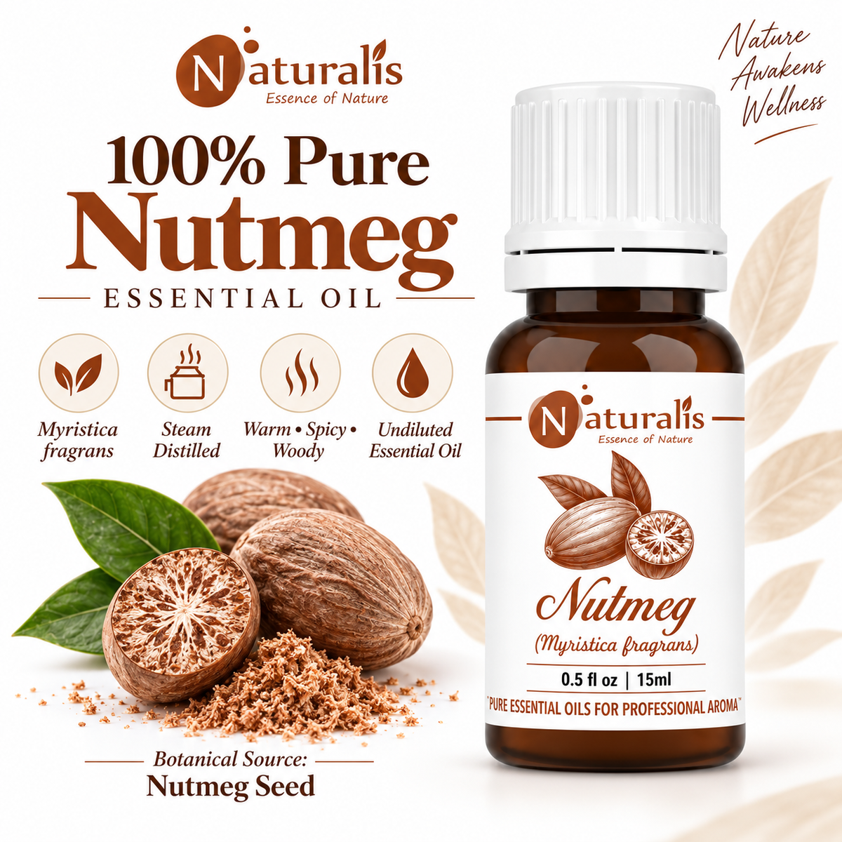 100% Pure Nutmeg Essential Oil infographic - steam distilled Myristica fragrans, warm spicy aroma