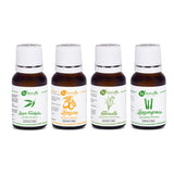 Natural Insect Repellent Essential Oil Set of 4 By Naturalis (Lemon Eucalyptus Oil, Lemon Oil, Citronella Oil, Lemongrass Oil) - Pure & Natural - Naturalis