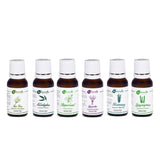 Multipurpose Essential Oil Set Of 6 by Naturalis - Pure & Natural