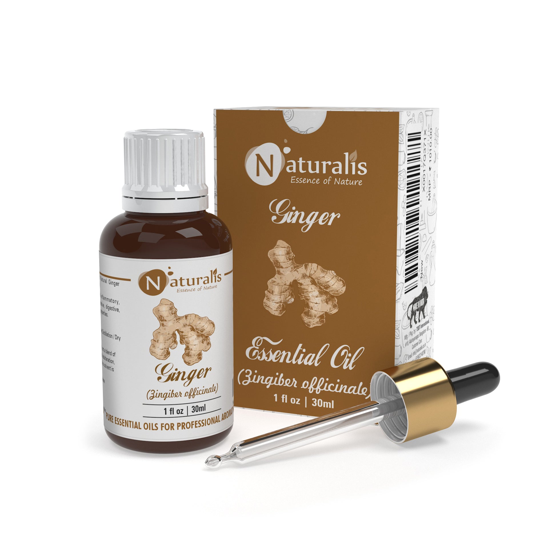 Naturalis ginger oil from Zingiber officinale for aromatherapy — close-up