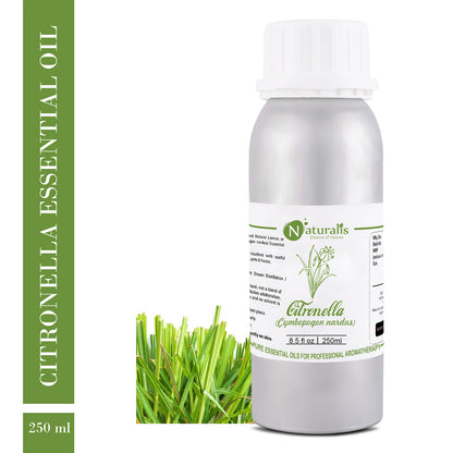 Citronella (Ceylon) Essential Oil by Naturalis - Pure & Natural - Naturalis