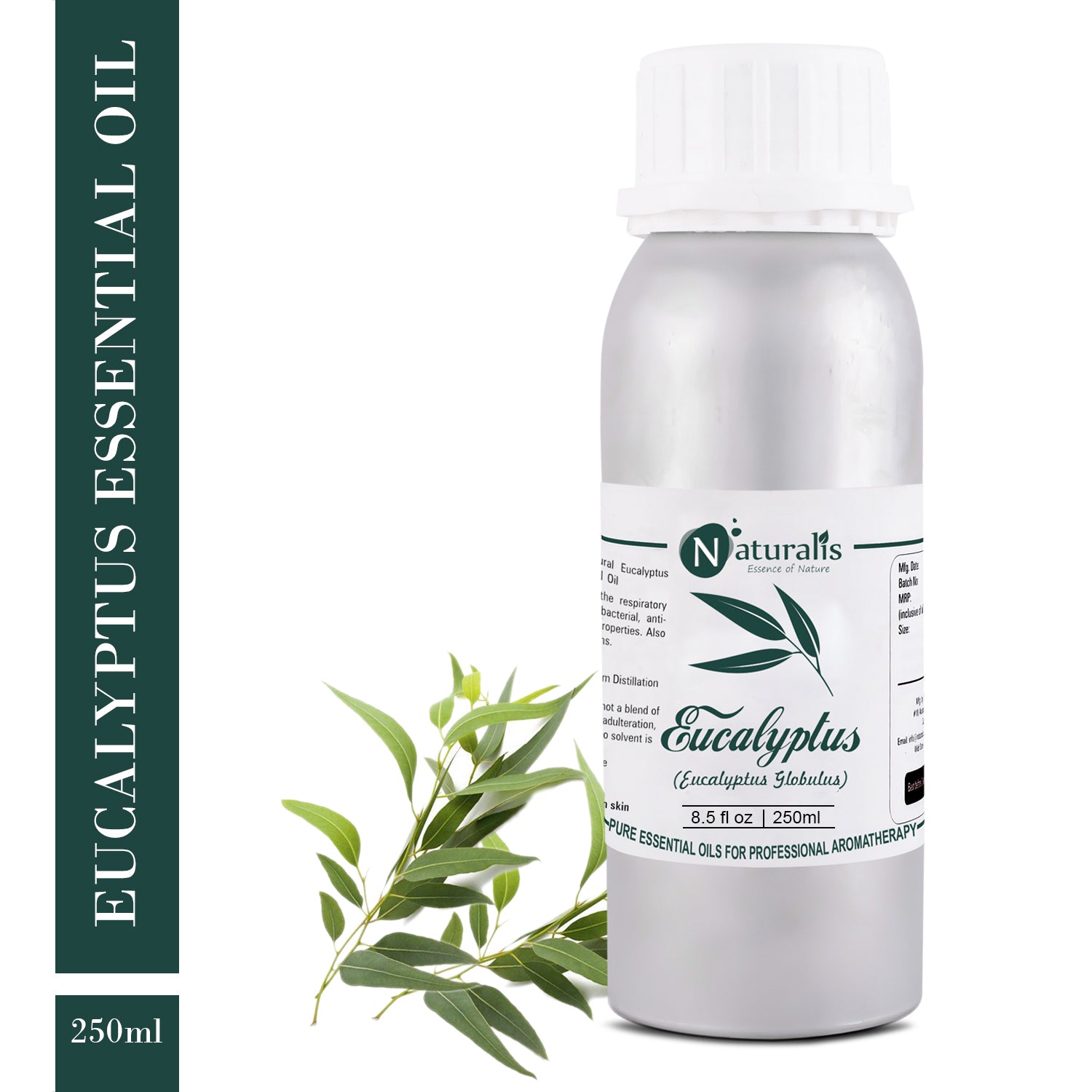 Eucalyptus Essential Oil by Naturalis - Pure & Natural - Naturalis