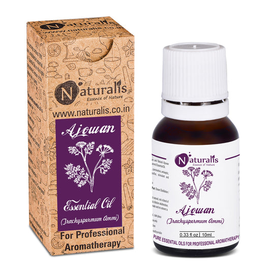 Naturalis Ajwain / Ajowan Essential Oil - Naturalis