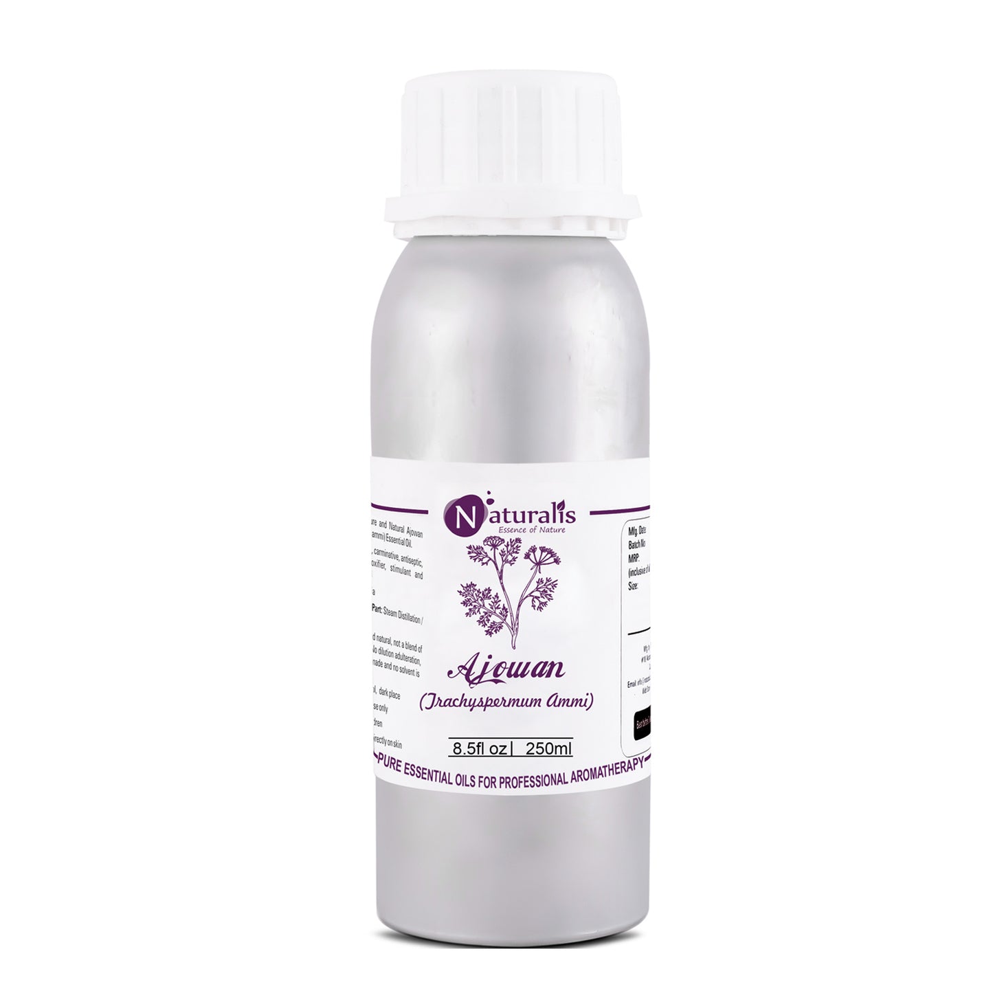 Naturalis Ajwain / Ajowan Essential Oil - Naturalis