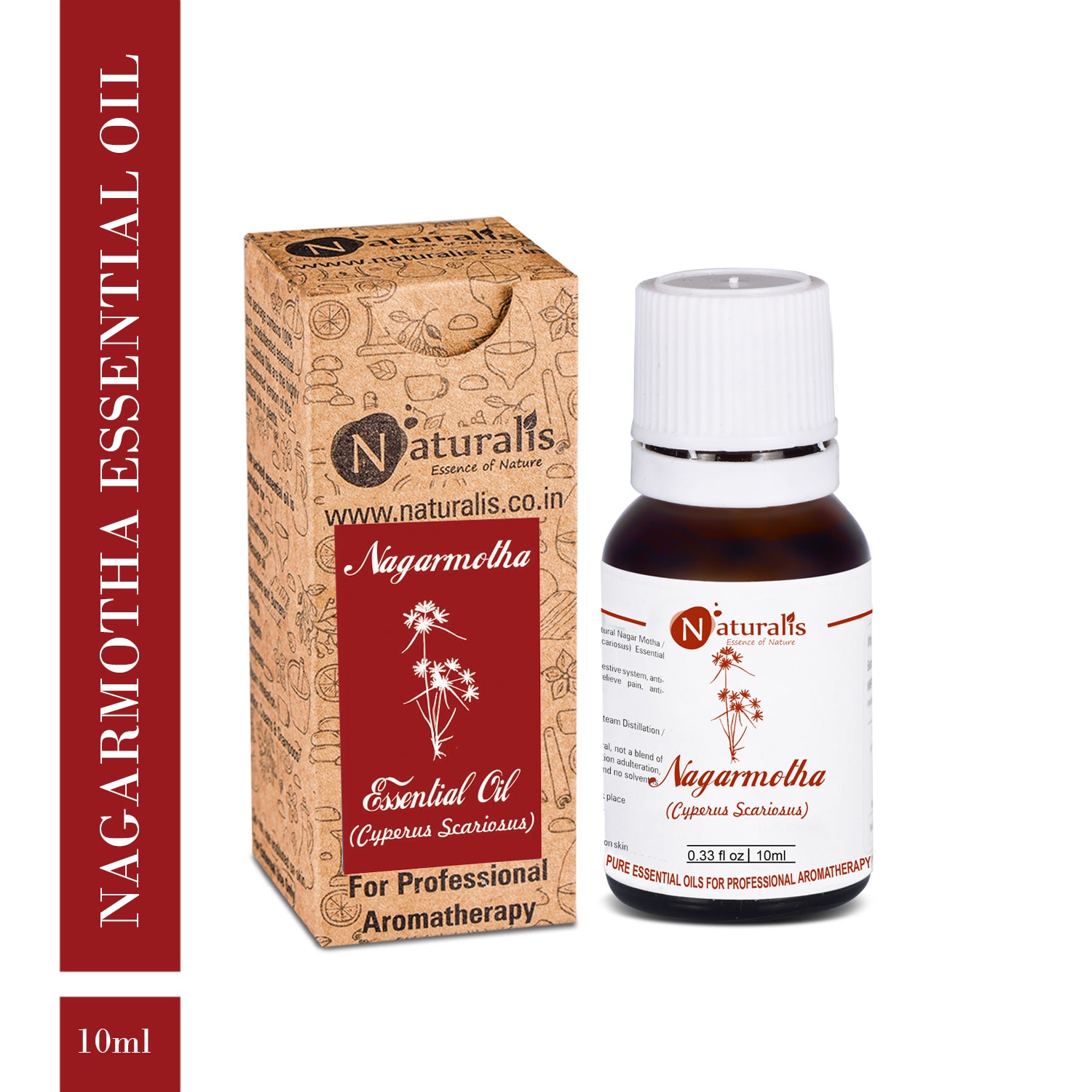 Nagarmotha Essential Oil by Naturalis - Pure & Natural - Naturalis