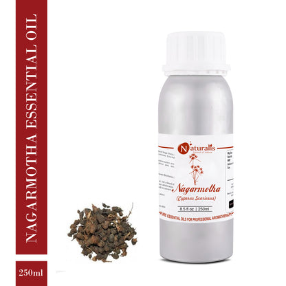 Nagarmotha Essential Oil by Naturalis - Pure & Natural - Naturalis