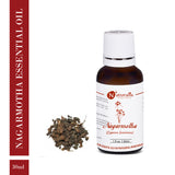 Nagarmotha Essential Oil by Naturalis - Pure & Natural - Naturalis