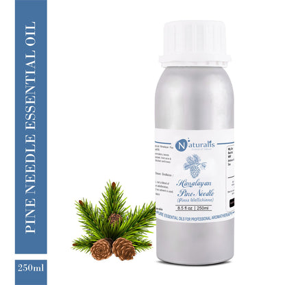 Himalayan Pine Needle Needle Essential Oil by Naturalis - Pure & Natural - Naturalis