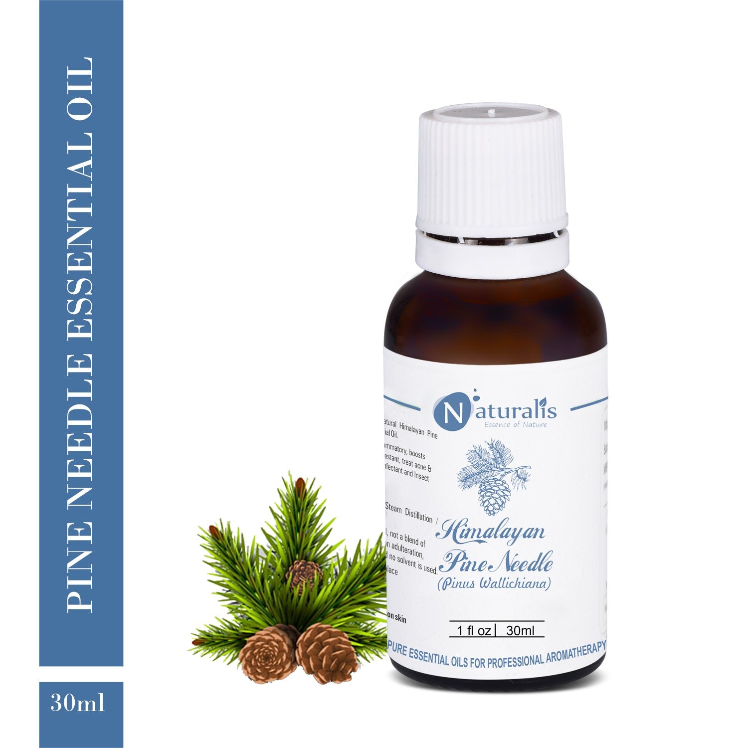 Himalayan Pine Needle Needle Essential Oil by Naturalis - Pure & Natural - Naturalis