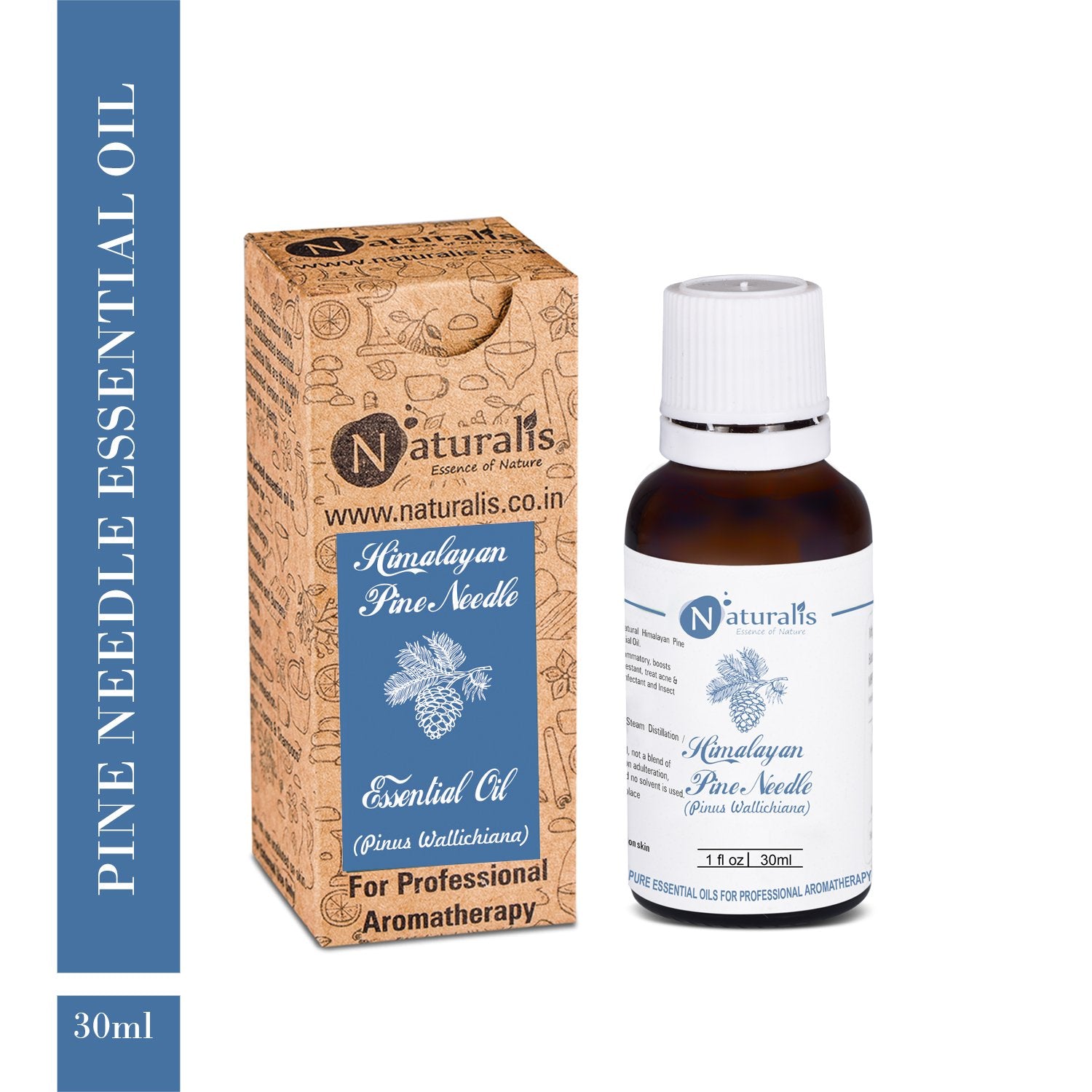 Himalayan Pine Needle Needle Essential Oil by Naturalis - Pure & Natural - Naturalis