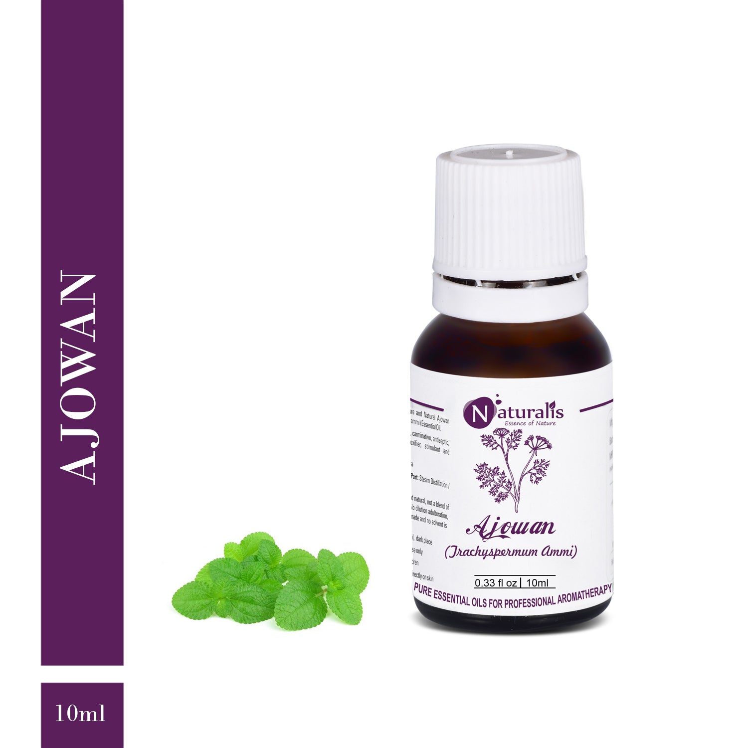 Naturalis Ajwain / Ajowan Essential Oil - Naturalis