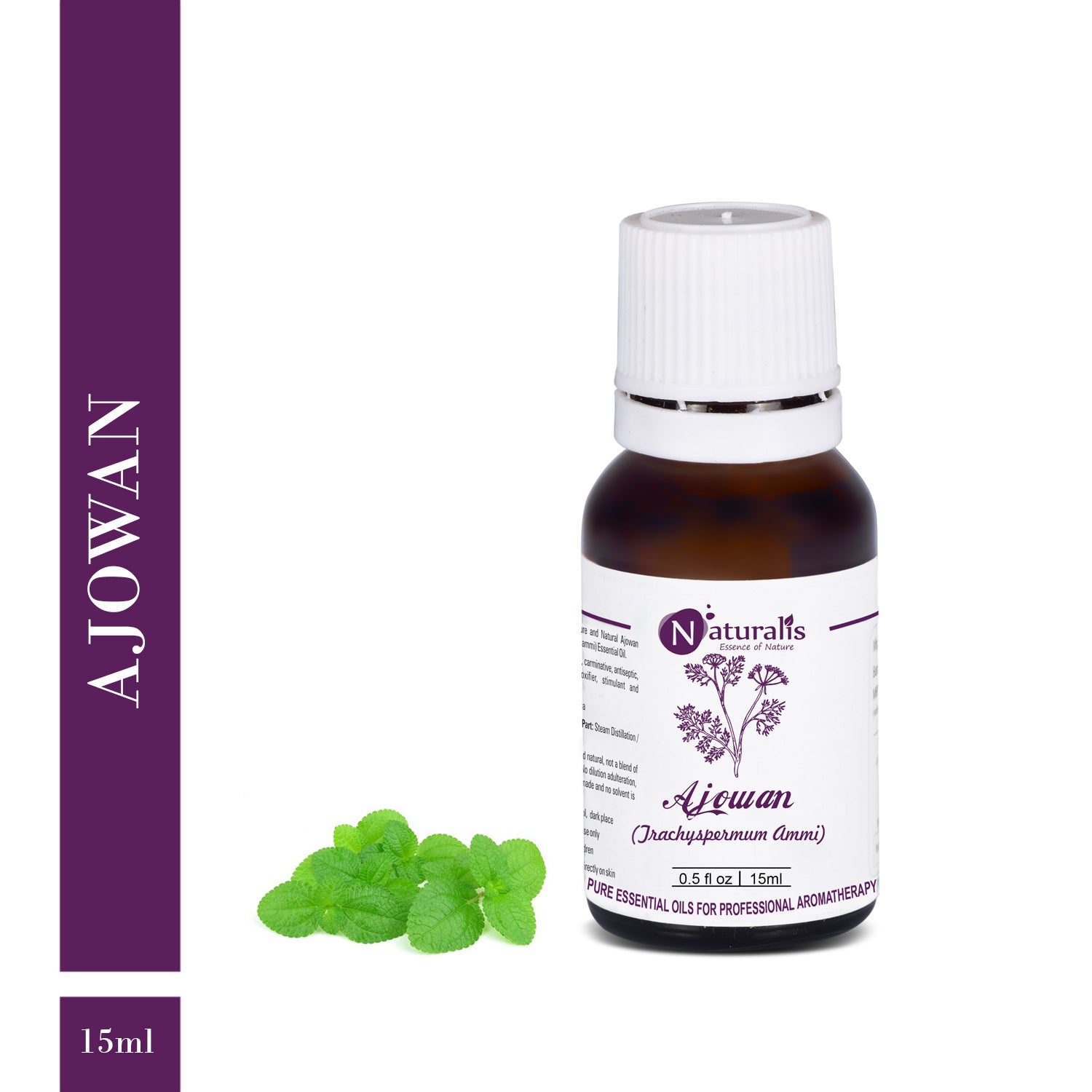 Naturalis Ajwain / Ajowan Essential Oil - Naturalis