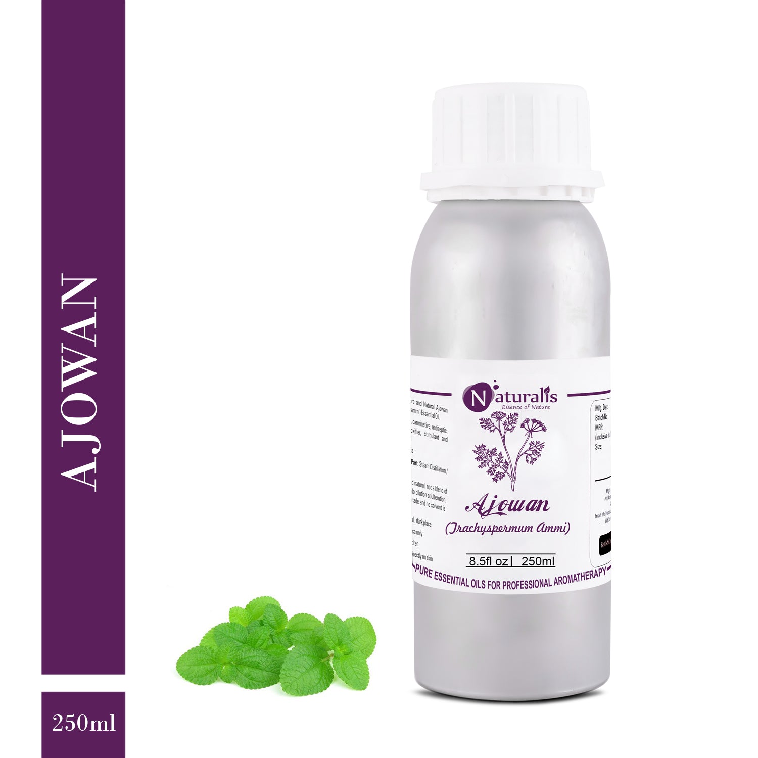 Naturalis Ajwain / Ajowan Essential Oil - Naturalis