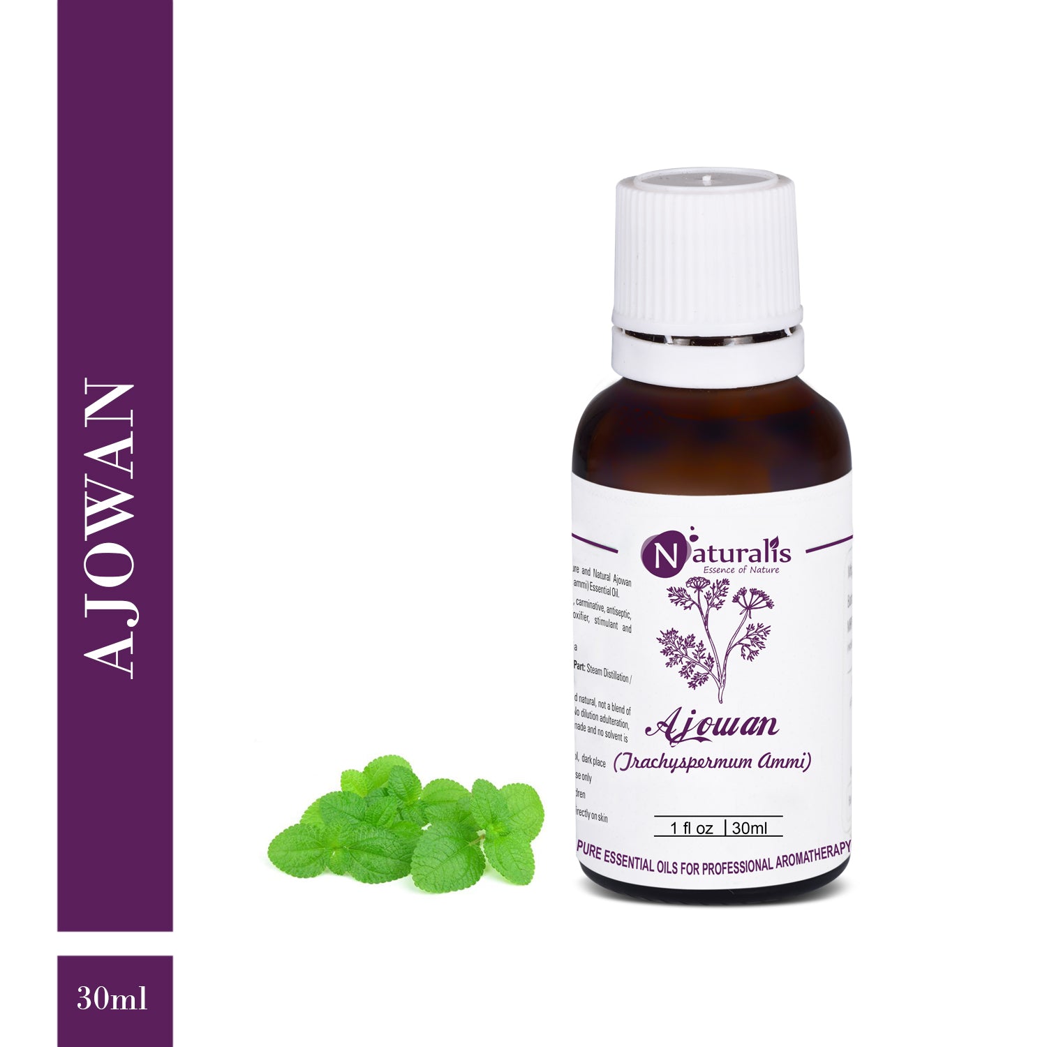 Naturalis Ajwain / Ajowan Essential Oil - Naturalis