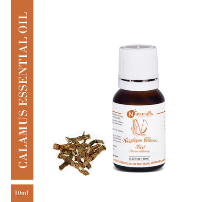 Himalayan Calamus Essential Oil by Naturalis - Pure & Natural - Naturalis