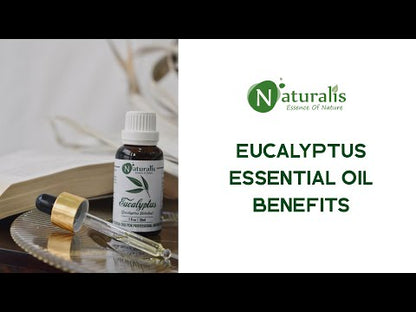 Eucalyptus Essential Oil by Naturalis - Pure & Natural